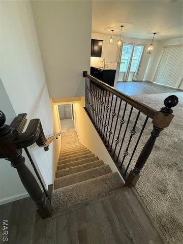 532 Leather Reins Drive, Wentzville, MO 63385