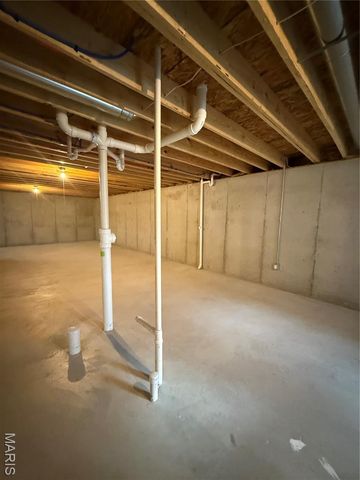 532 Leather Reins Drive, Wentzville, MO 63385