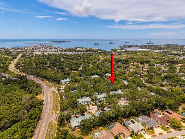1491 MAHOGANY LANE 1491, Palm Harbor, FL 34683
