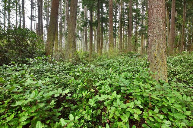 2712 North Bluff Road, Greenbank, WA 98253