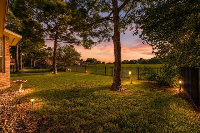 10707 Lyndon Meadows Drive, Houston, TX 77095