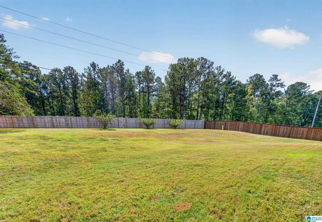 1177 CHELSEA PARK TRAIL, Chelsea, AL 35043