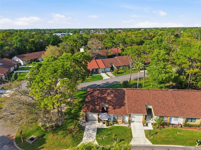 6575 BRAMBLELEAF DRIVE, Spring Hill, FL 34606