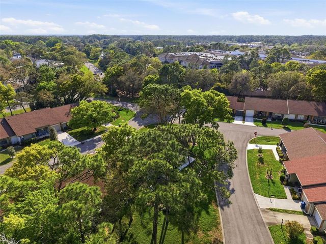 6575 BRAMBLELEAF DRIVE, Spring Hill, FL 34606