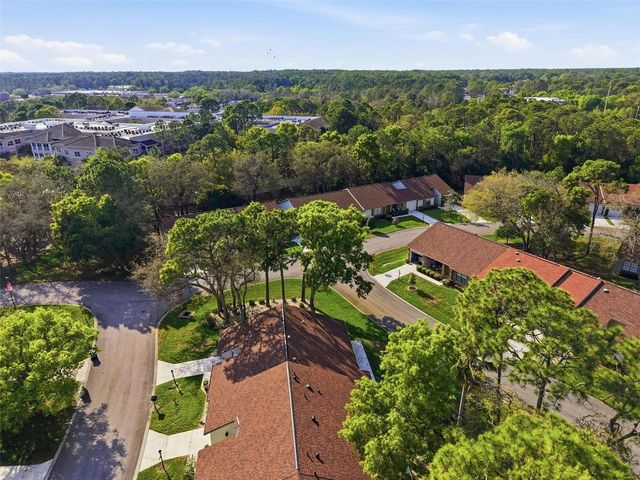 6575 BRAMBLELEAF DRIVE, Spring Hill, FL 34606