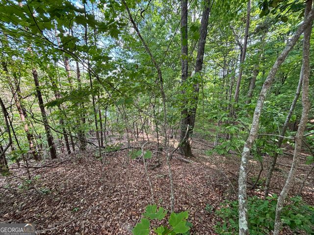 0 Cub Trail, Sautee Nacoochee, GA 30571
