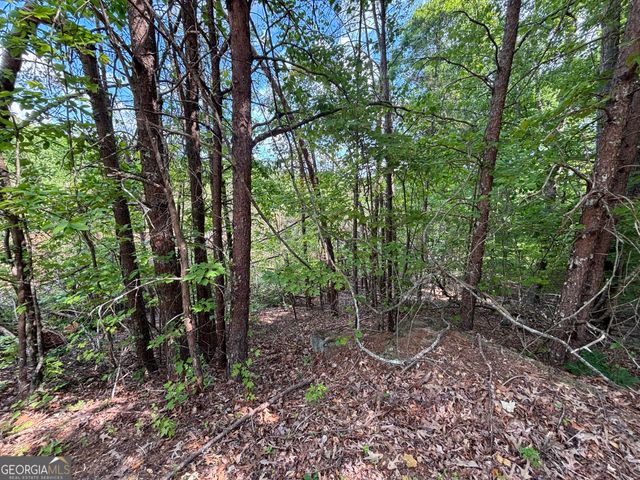 0 Cub Trail, Sautee Nacoochee, GA 30571