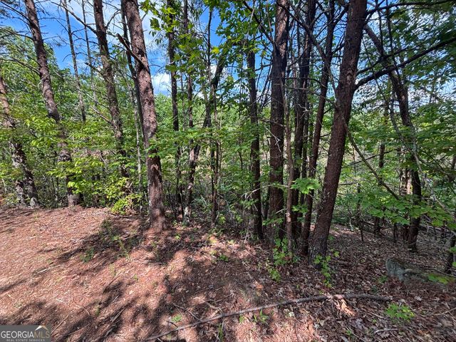 0 Cub Trail, Sautee Nacoochee, GA 30571