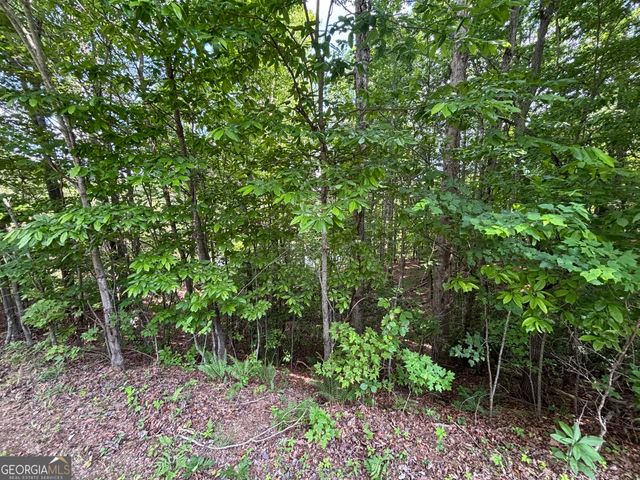 0 Cub Trail, Sautee Nacoochee, GA 30571