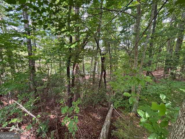 0 Cub Trail, Sautee Nacoochee, GA 30571