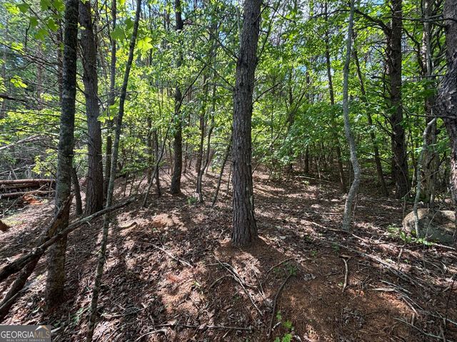 0 Cub Trail, Sautee Nacoochee, GA 30571