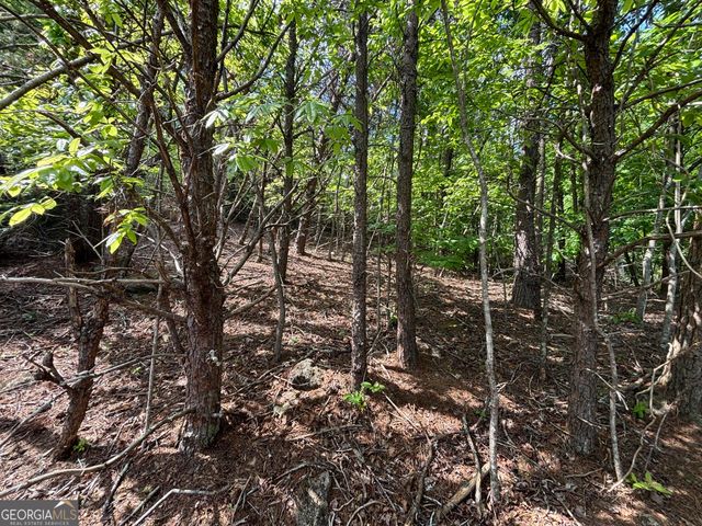0 Cub Trail, Sautee Nacoochee, GA 30571