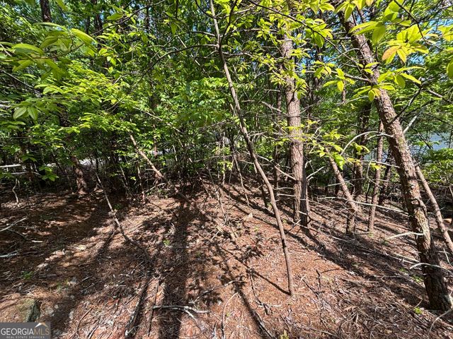 0 Cub Trail, Sautee Nacoochee, GA 30571