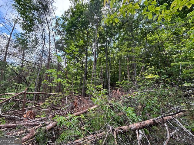 0 Cub Trail, Sautee Nacoochee, GA 30571