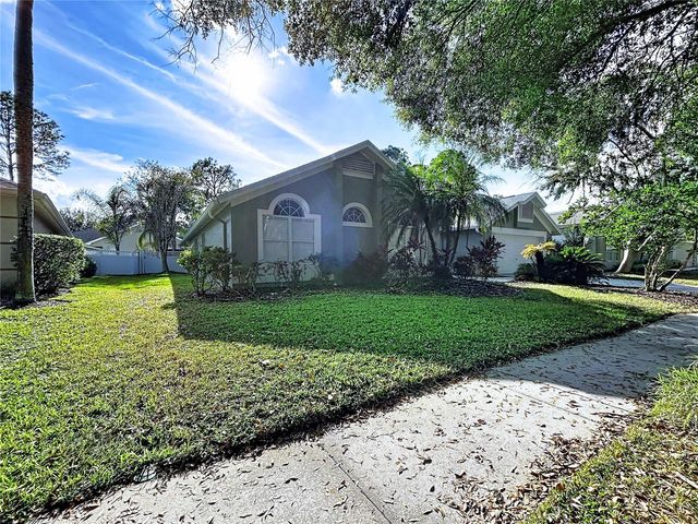 17307 LOCKWOOD RIDGE DRIVE, Tampa, FL 33647