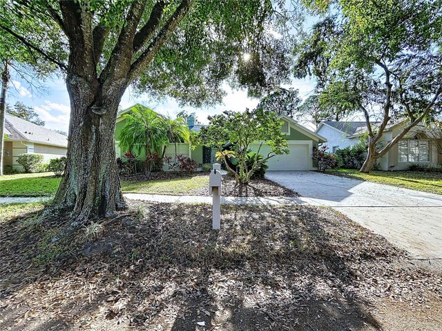 17307 LOCKWOOD RIDGE DRIVE, Tampa, FL 33647
