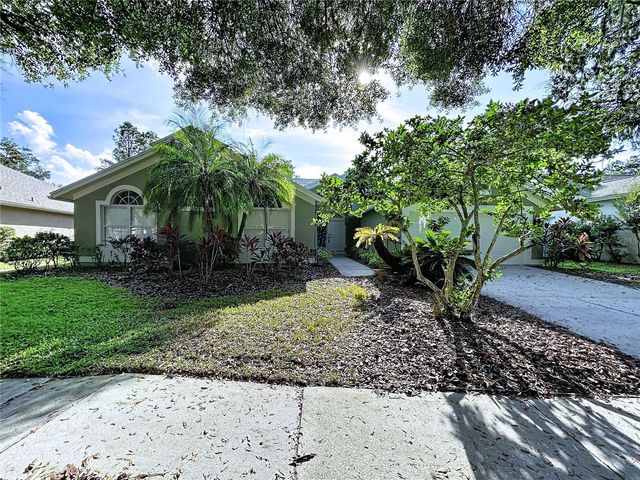17307 LOCKWOOD RIDGE DRIVE, Tampa, FL 33647