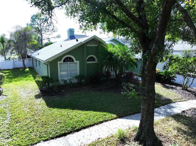 17307 LOCKWOOD RIDGE DRIVE, Tampa, FL 33647
