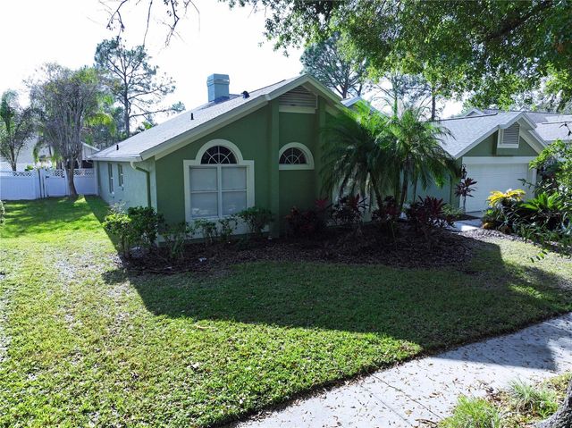17307 LOCKWOOD RIDGE DRIVE, Tampa, FL 33647