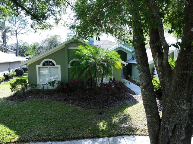 17307 LOCKWOOD RIDGE DRIVE, Tampa, FL 33647