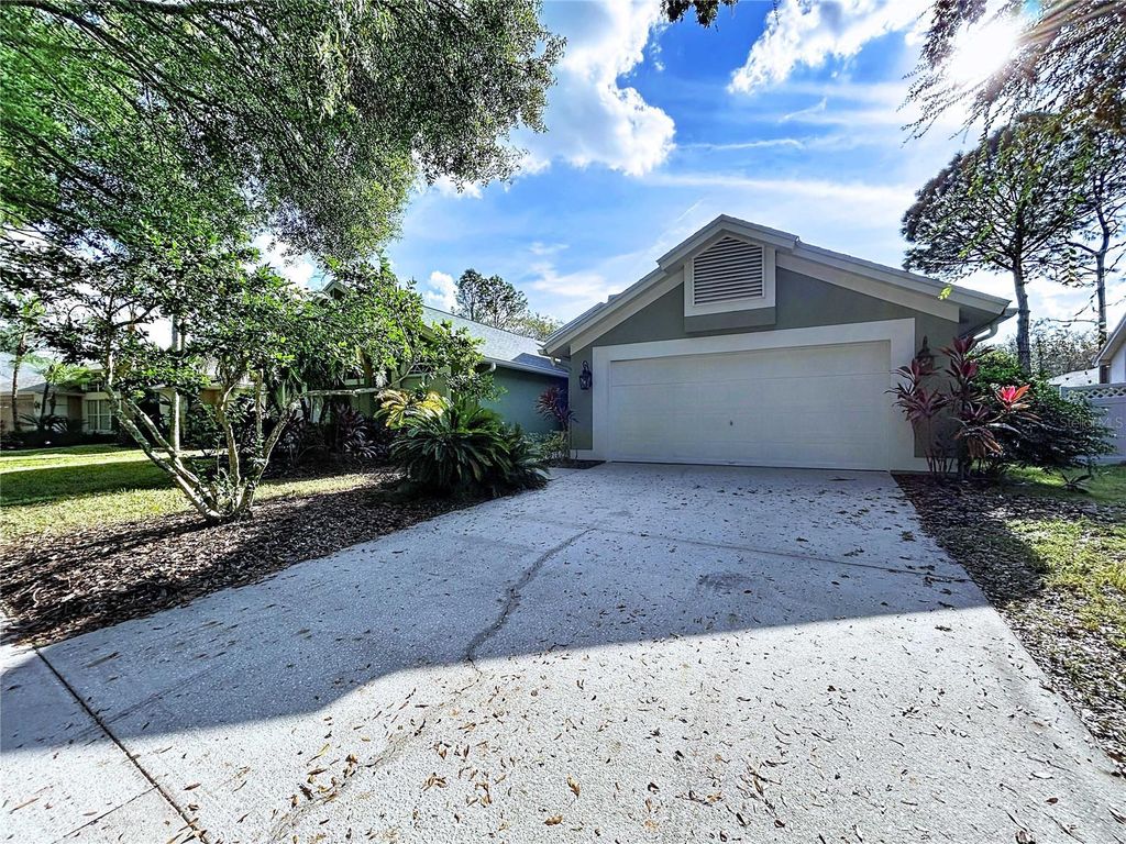 17307 LOCKWOOD RIDGE DRIVE, Tampa, FL 33647