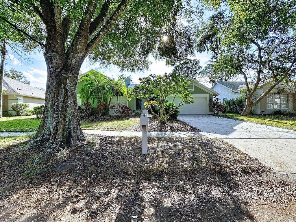 Image 4 of property listing at 17307 LOCKWOOD RIDGE DRIVE, Tampa, FL 33647