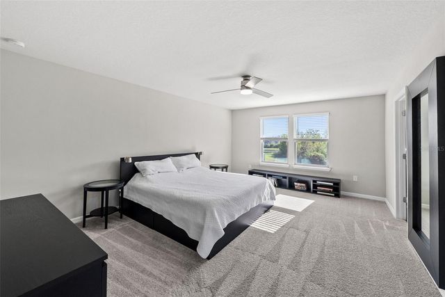 19261 MOSSY PINE DRIVE, Tampa, FL 33647