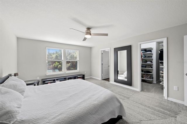 19261 MOSSY PINE DRIVE, Tampa, FL 33647