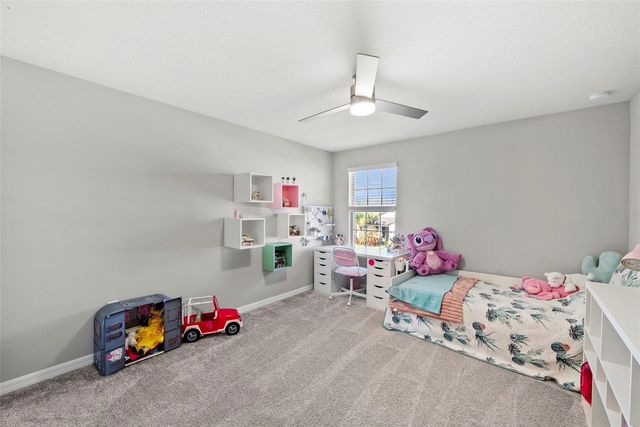 19261 MOSSY PINE DRIVE, Tampa, FL 33647