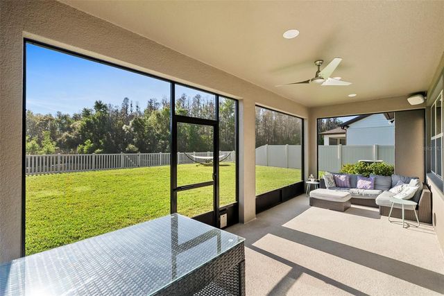 19261 MOSSY PINE DRIVE, Tampa, FL 33647