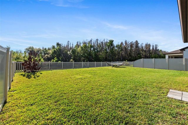 19261 MOSSY PINE DRIVE, Tampa, FL 33647