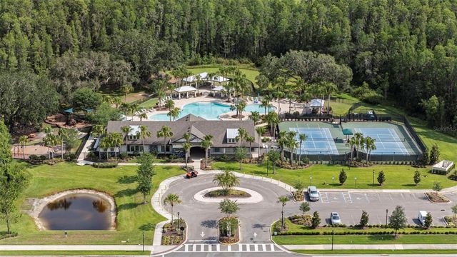 19261 MOSSY PINE DRIVE, Tampa, FL 33647