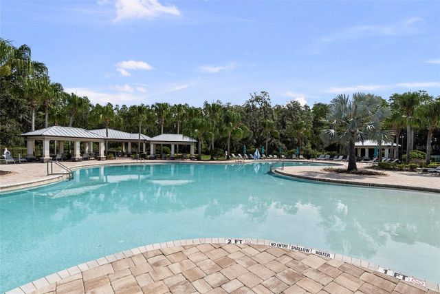 19261 MOSSY PINE DRIVE, Tampa, FL 33647