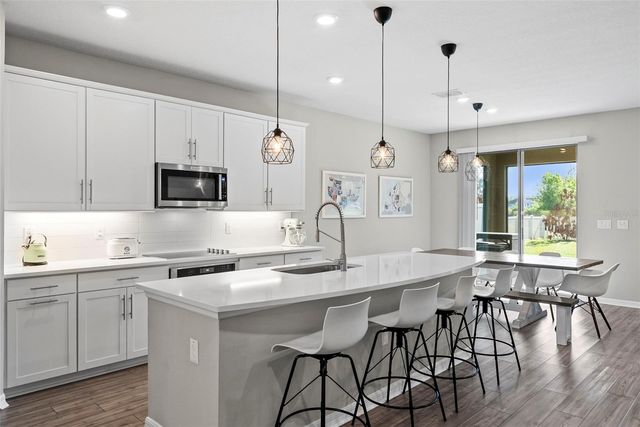 19261 MOSSY PINE DRIVE, Tampa, FL 33647