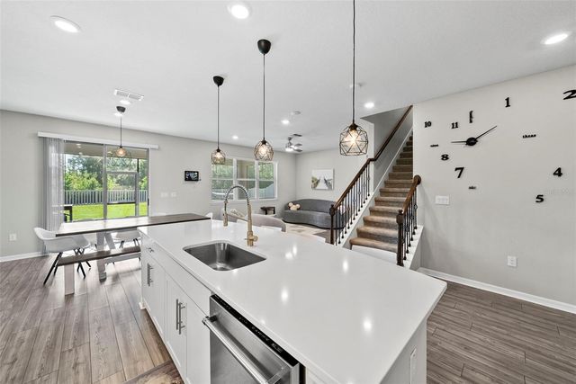 19261 MOSSY PINE DRIVE, Tampa, FL 33647