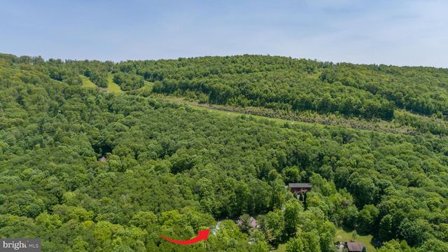 2250 HOYES RUN RD, Mc Henry, MD 21541