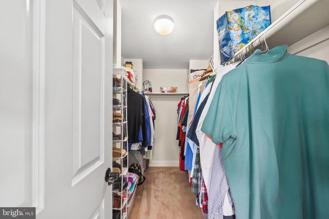 8410 TERRA WOODS DR, Springfield, VA 22153