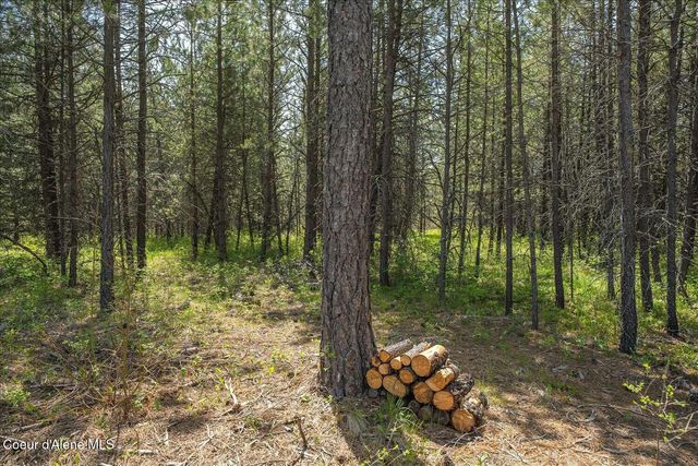 2500 E Marnett RD, Athol, ID 83801