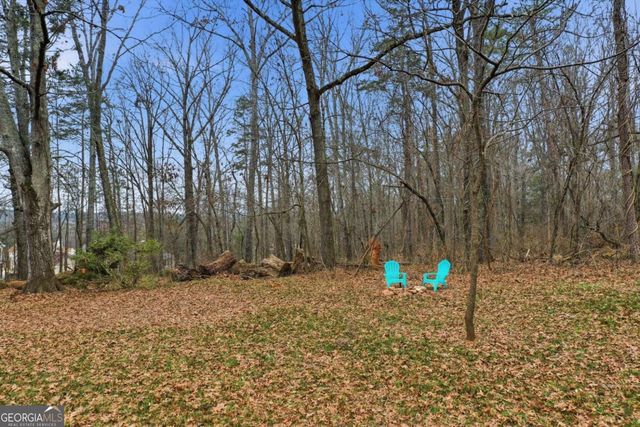 239 Fairview Road, Ball Ground, GA 30107