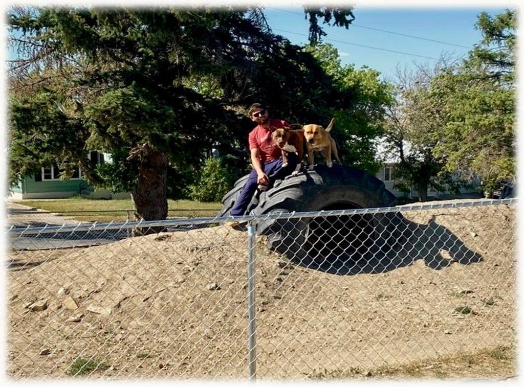 229 2nd AVE, Cut Bank, MT 59427 photo 22