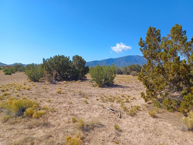 Palomino Road, Placitas, NM 87043