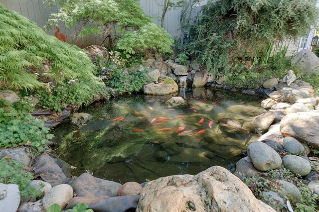 157 Apple Ave, Grass Valley, CA 95945