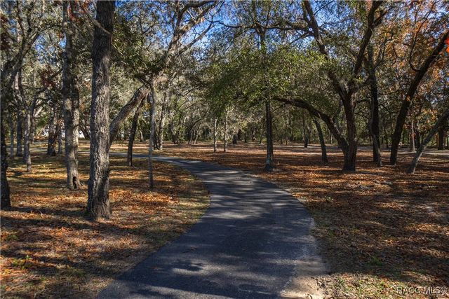 2295 N Andrea Point, Lecanto, FL 34461