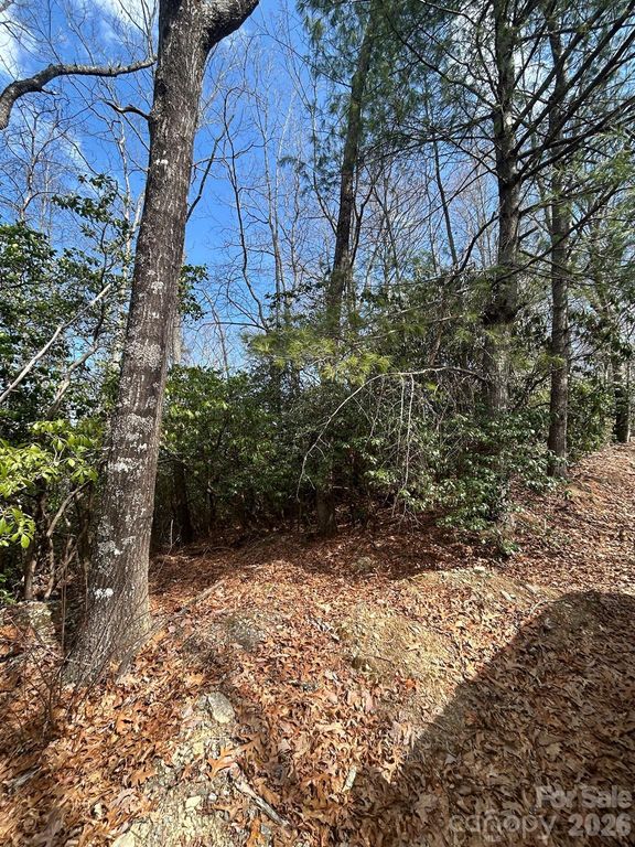 Lot 37 High Peak Road, Hendersonville, NC 28739