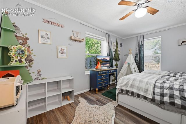 1017 Prairie Road, Colorado Springs, CO 80909