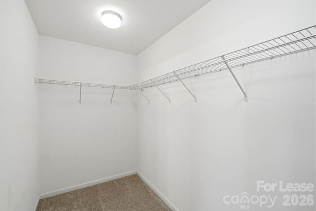 1906 Treefrog Court, Charlotte, NC 28262