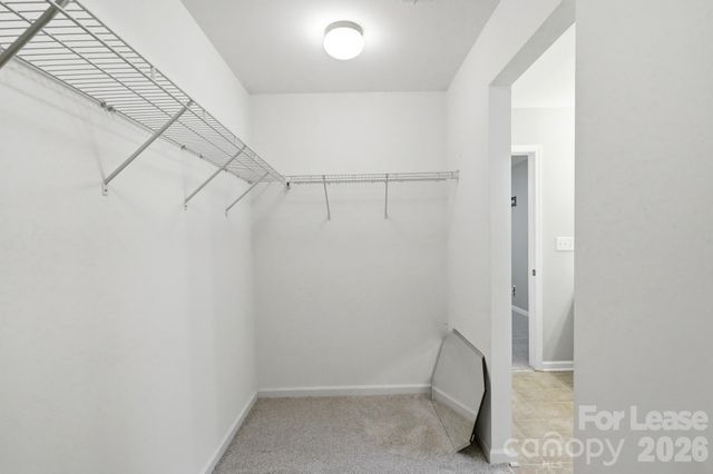 1906 Treefrog Court, Charlotte, NC 28262