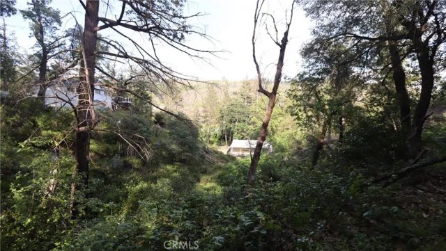 17327 Bay Leaf Road, Cobb, CA 95461
