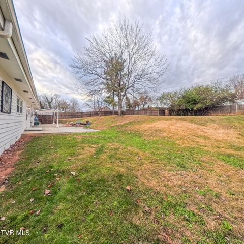 105 Lowry Lane, Bristol, TN 37620