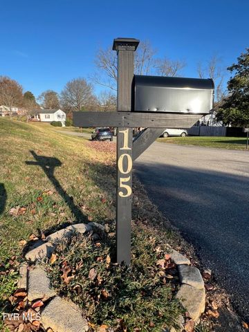 105 Lowry Lane, Bristol, TN 37620